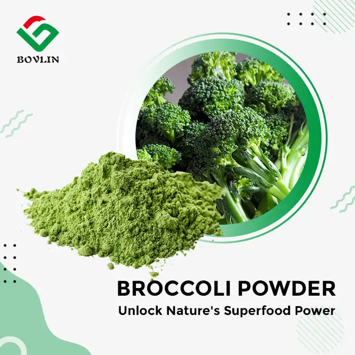 Broccoli Powder Bulk